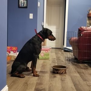 Meet your Posher, Nicolette